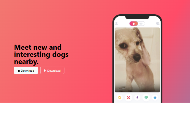 TinDog landing page